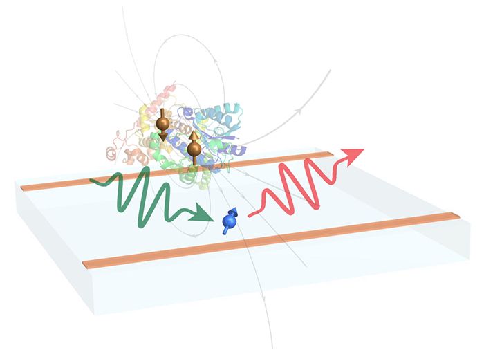 恒溫恒濕空調助力我國量子精密測量獲重要進展(圖1) 恒溫恒濕空調助力我國量子精密測量獲重要進展